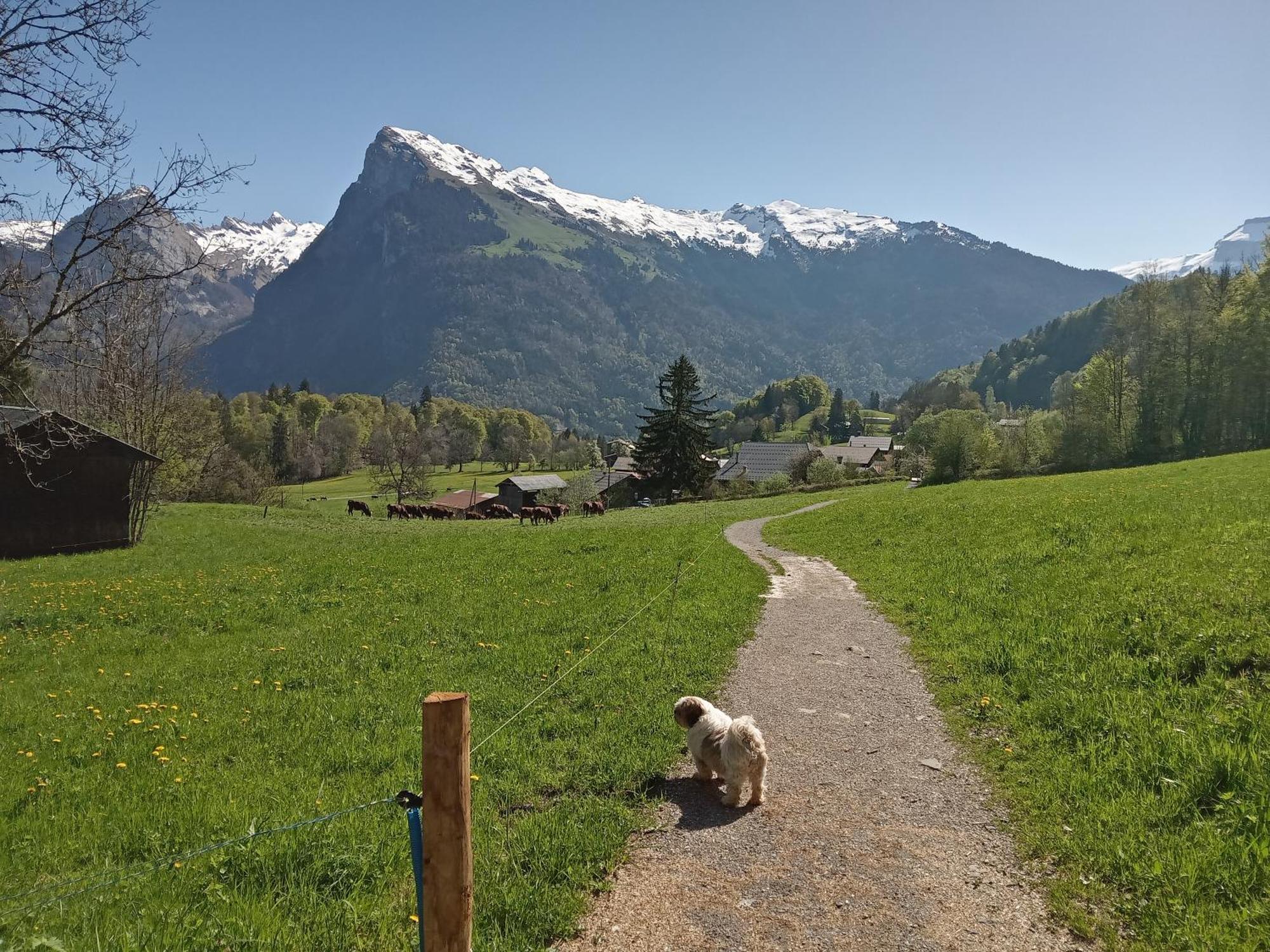 Fermes De Vercland Studio 2 Places Samoëns Extérieur photo