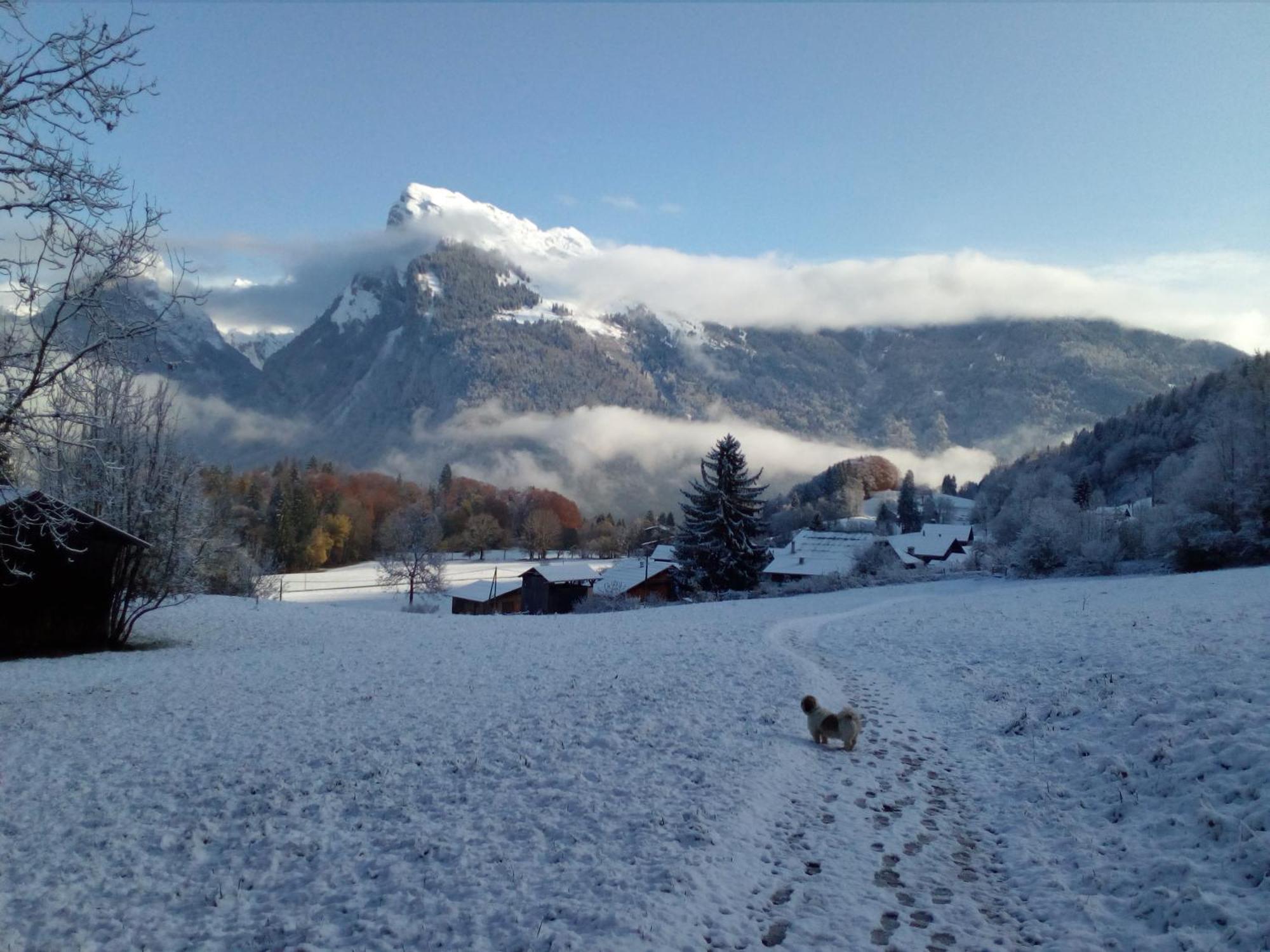 Fermes De Vercland Studio 2 Places Samoëns Extérieur photo